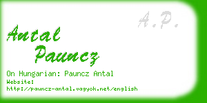 antal pauncz business card